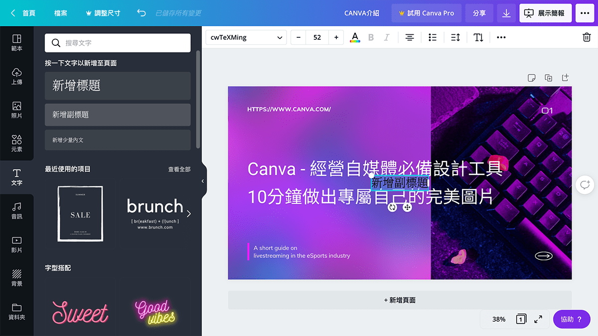 攻城濕不說的秘密 - CANVA新增文字