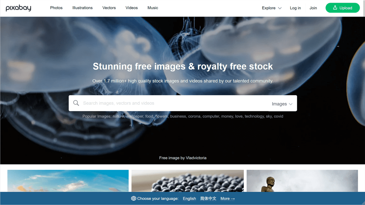 攻城濕不說的秘密 - Pixabay 官網